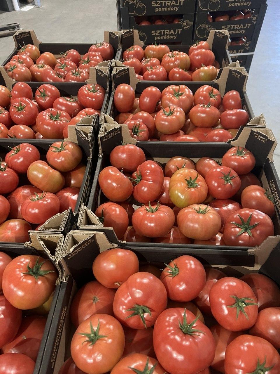 tomatoes